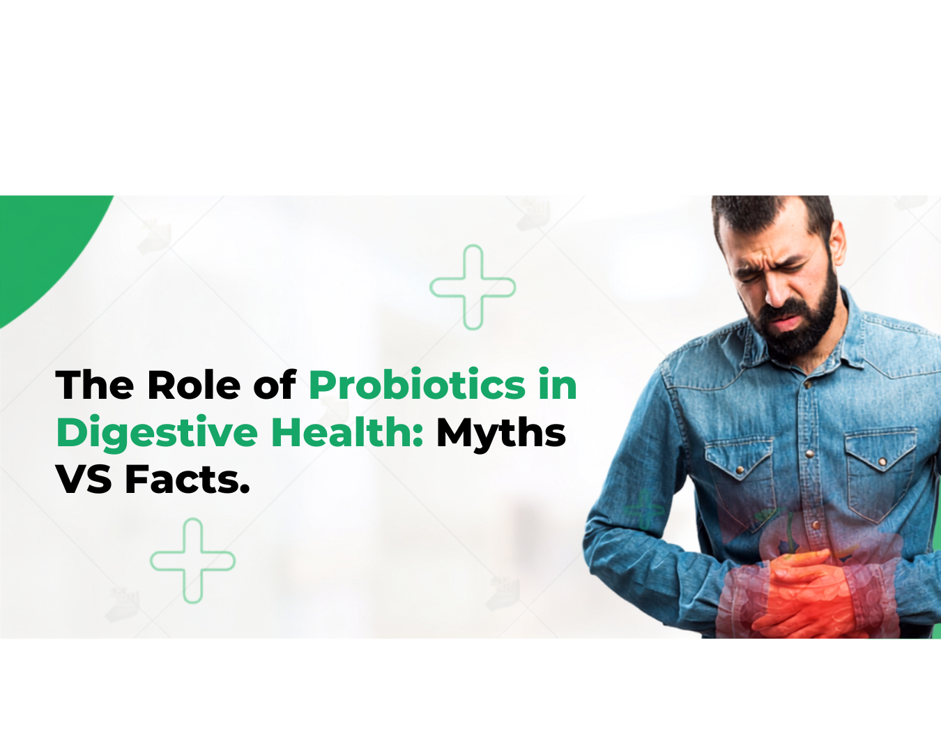 The Role of Probioties in Digestive Helth : Myths VS Facts